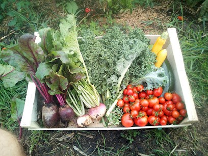 Les Jardins De Pomereix, Primeur Fruits et Légumes au Dorat