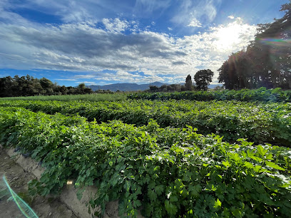 Earl Bio D'arcadie - Le Jardin Bio D'arcadie Primeur - Fruits Et Légumes à Argelès-sur-Mer
