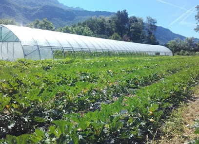Le Jardin Des Hautins, Primeur Fruits et Légumes à Méry