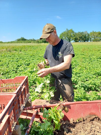 Le Jardin Du Penher- Producteur De Fruits Et Légumes, Primeur Fruits et Légumes à Pluneret