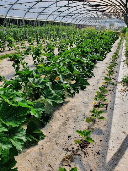 La Ferme Du Boisseau, Primeur Fruits et Légumes à Vinon