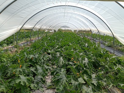 Les Jardins De Champ Rose, Primeur Fruits et Légumes à Montmoreau