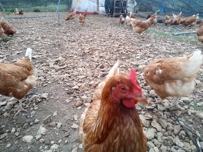 L'écureuil, Primeur Fruits et Légumes à Ispagnac