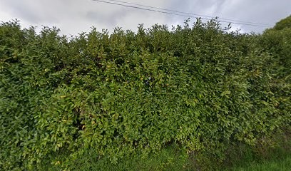 La Ferme De Coëtbily, Primeur Fruits et Légumes à Ménéac