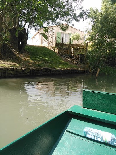 EARL Du Bio Panier, Primeur Fruits et Légumes à Maillé