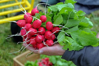 Ferme De Videau Dans Le Sud-Ouest, Primeur Fruits et Légumes à Villebramar
