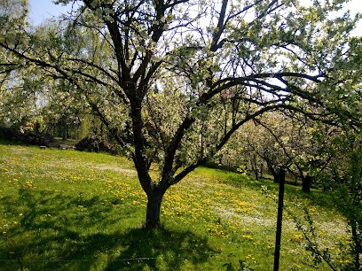 Les Coteaux Gourmands, Primeur Fruits et Légumes à Norroy-le-Veneur