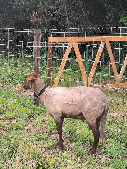 La Ferme Du Levant, Primeur Fruits et Légumes à Saint-Pierre-d'Oléron
