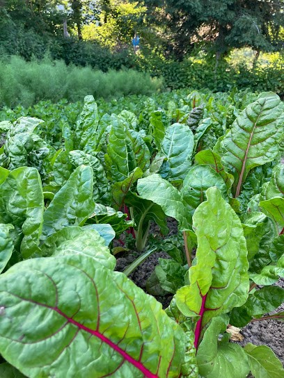 La Petite Ferme Qui Pousse - Fruits et Légumes BIO, Primeur Fruits et Légumes à Thal-Marmoutier