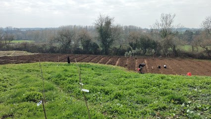 Le Jardin Des Sources, Primeur Fruits et Légumes à Bazoges-en-Pareds